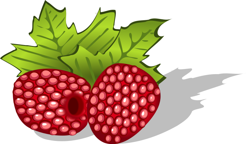 800x470 Free To Use Amp Public Domain Raspberry Clip Art