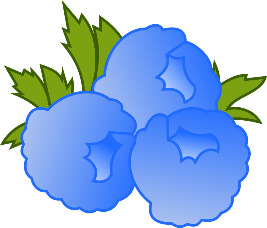 900x771 Rapsberry Clipart Blue Raspberry
