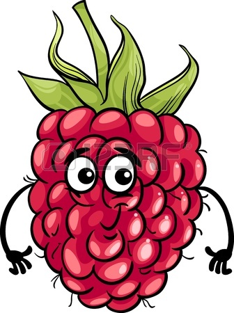 336x450 17,859 Raspberries Stock Illustrations, Cliparts And Royalty Free
