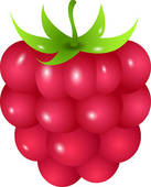 137x170 Raspberry Clip Art