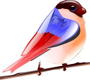 300x268 Raspberry Clip Art Download