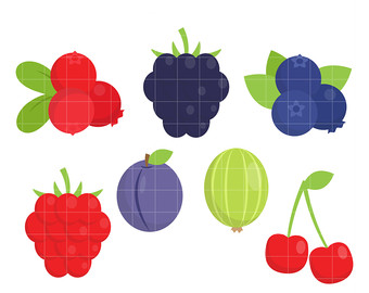 340x270 Raspberry Clip Art Etsy