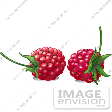 450x450 Royalty Free (Rf) Clip Art Illustration Of Two Ripe Red