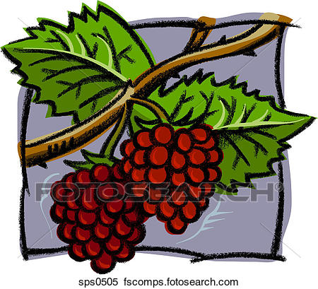 450x409 Stock Illustration Of A Drawing Of Fresh Raspberries Sps0505