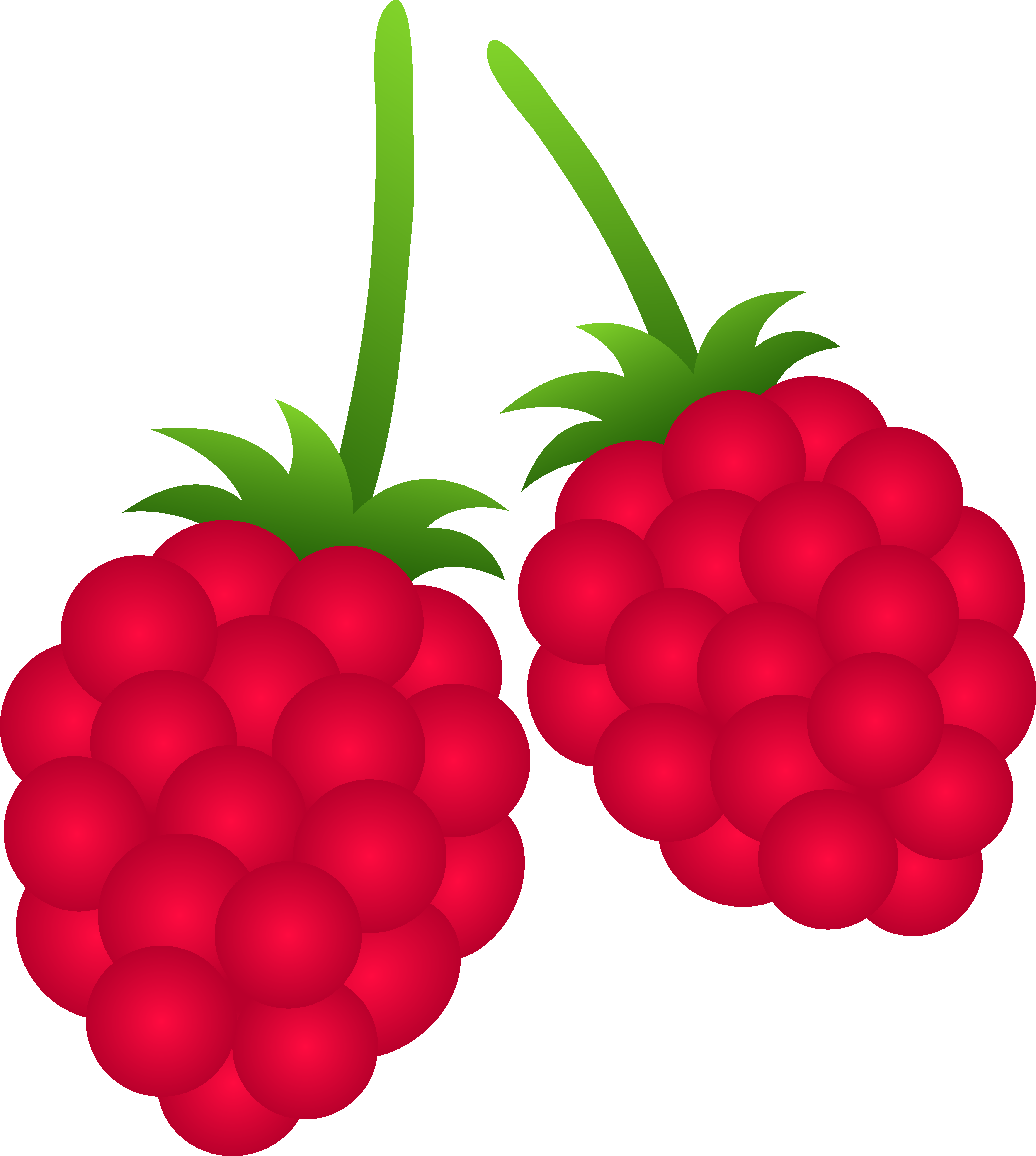 4571x5098 Two Raspberries
