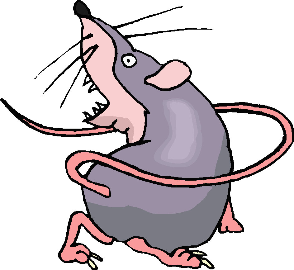 944x867 Cartoon Picture Of A Rat Free Download Clip Art 2