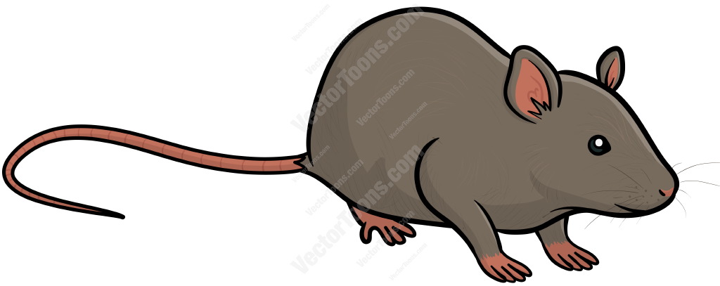 1024x407 Grey Rat Cartoon Clipart