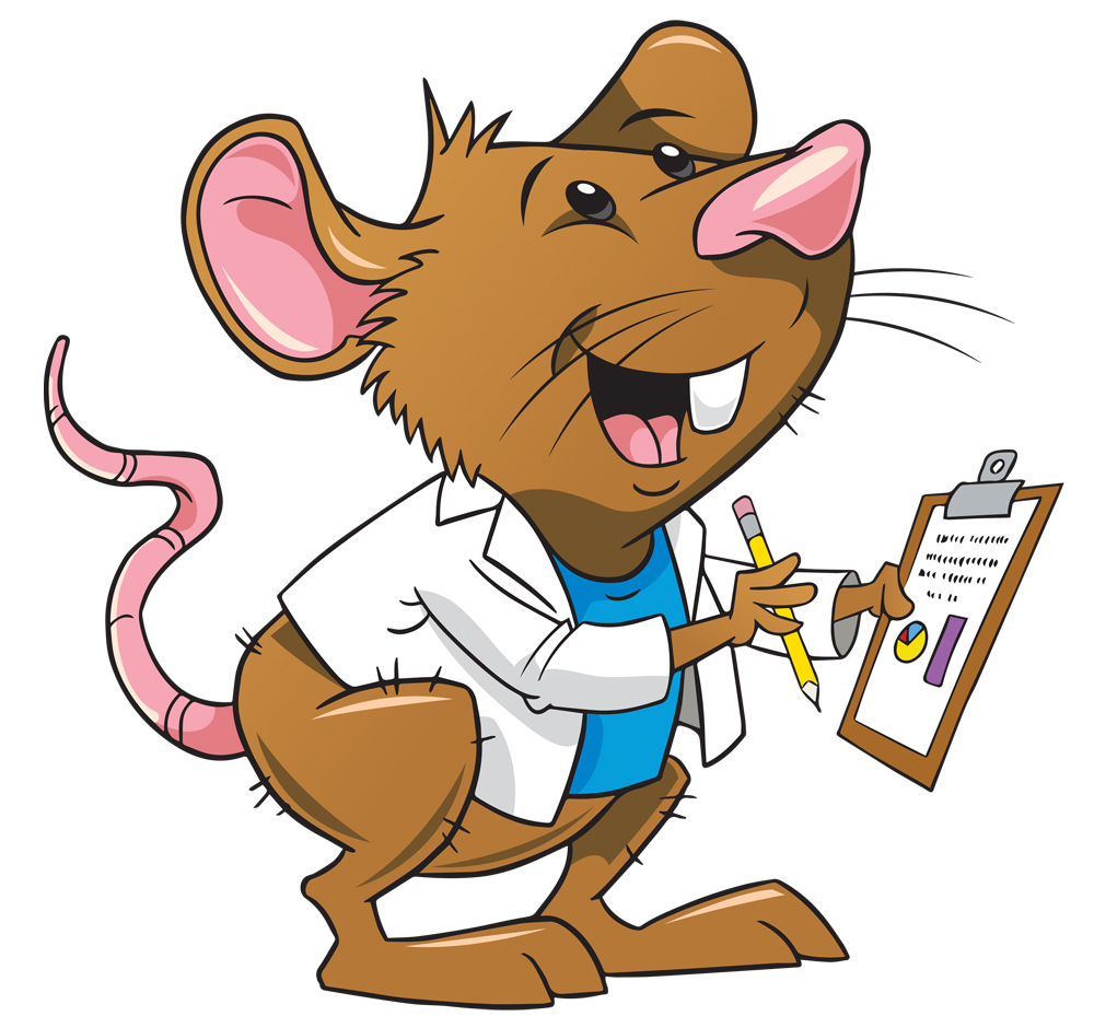 1000x940 Rat Clipart Lab Rat