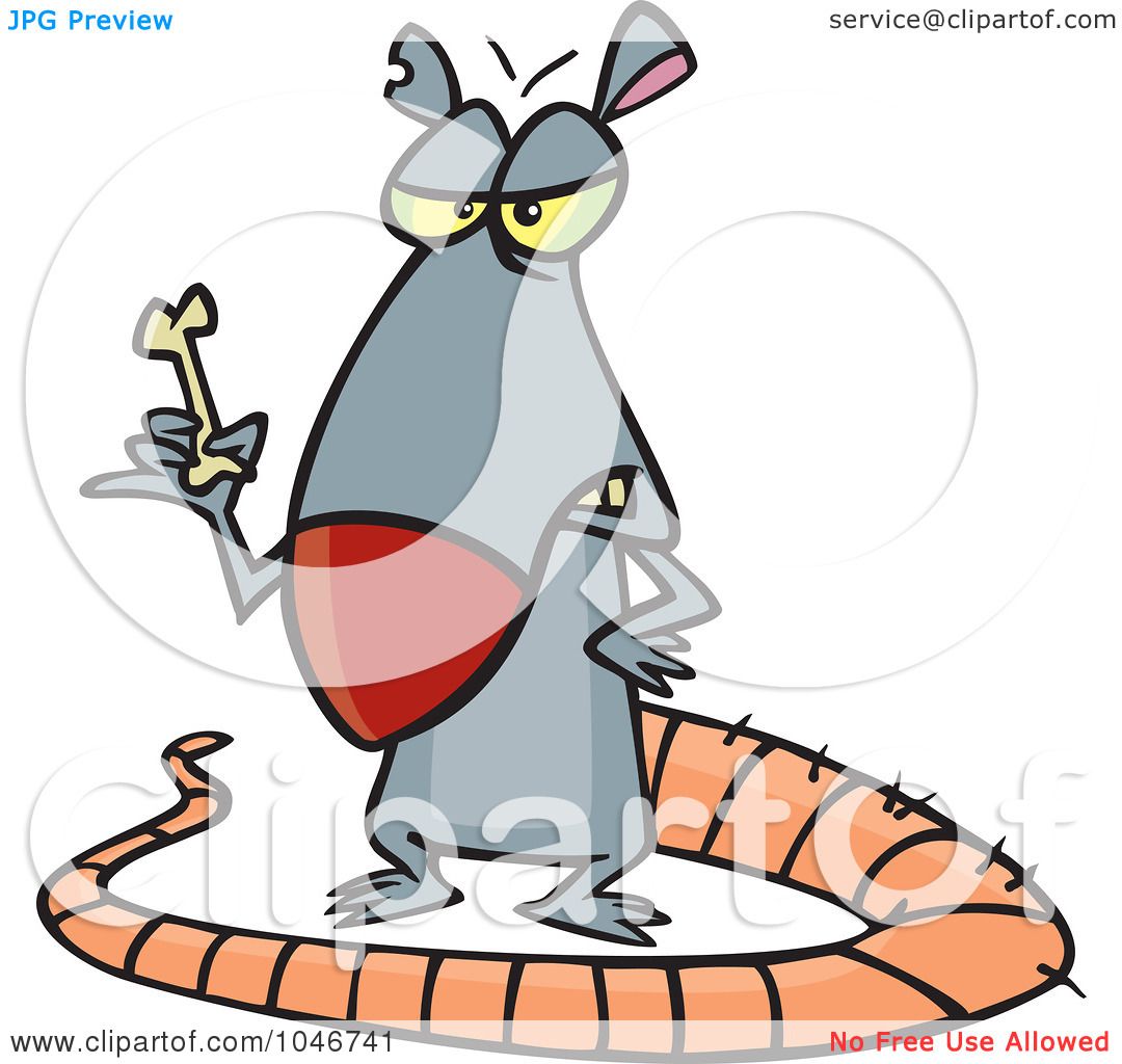 1080x1024 Royalty Free (Rf) Cliprt Illustration Of Cartoon Rat Holding