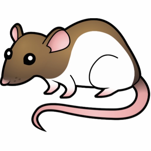 512x512 Cartoon Rats Pictures