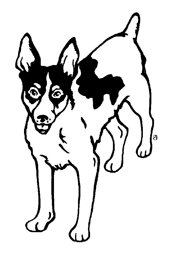 600x870 Rat Terrier Clip Art
