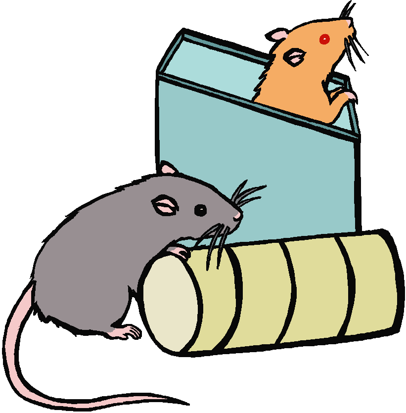 821x835 Rat Clipart 3 2