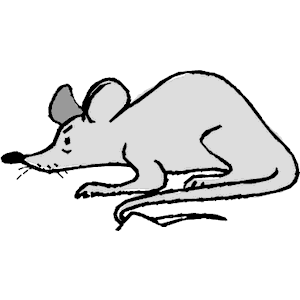 300x300 Rat Clipart Clipartfox