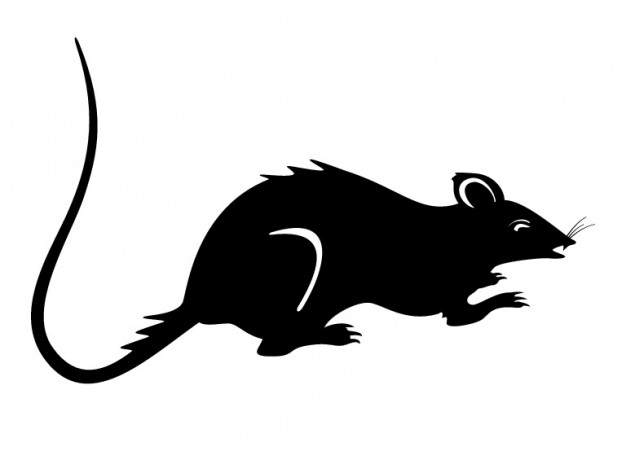 626x451 Rat Clipart Silhouette