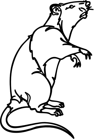 402x594 Rat Cliparts