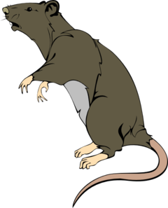 240x297 Rat Clipart Black And White Free Images 3