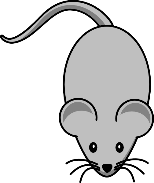 504x599 Rat Clipart Grey Mouse