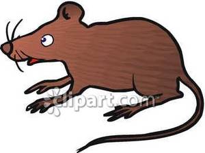 300x223 Rat Clipart Brown Mouse