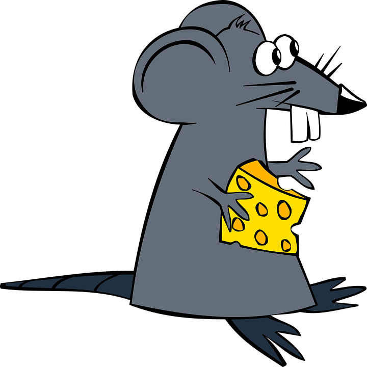720x720 Rat Clipart Cute