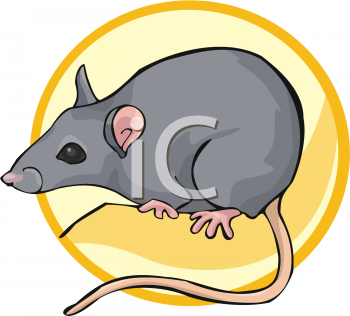 350x316 Royalty Free Rat Clip Art, Rodent Clipart
