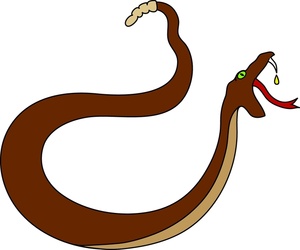 300x250 Free Free Rattlesnake Clip Art Image 0515 1006 2506 1554 Animal