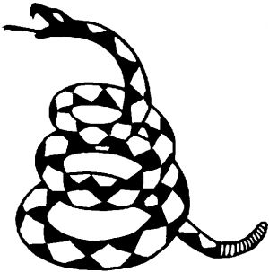 Rattlesnake Clipart Black And White