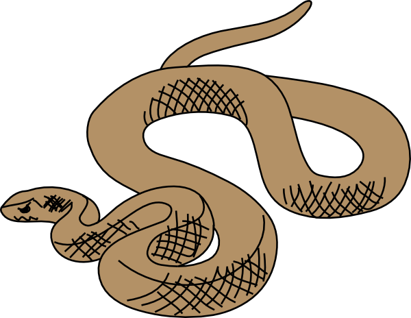 600x464 Image Of Anaconda Clipart