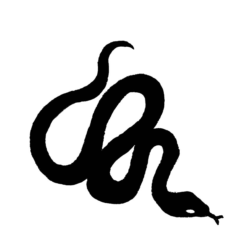 827x827 Anaconda Clipart Rattlesnake