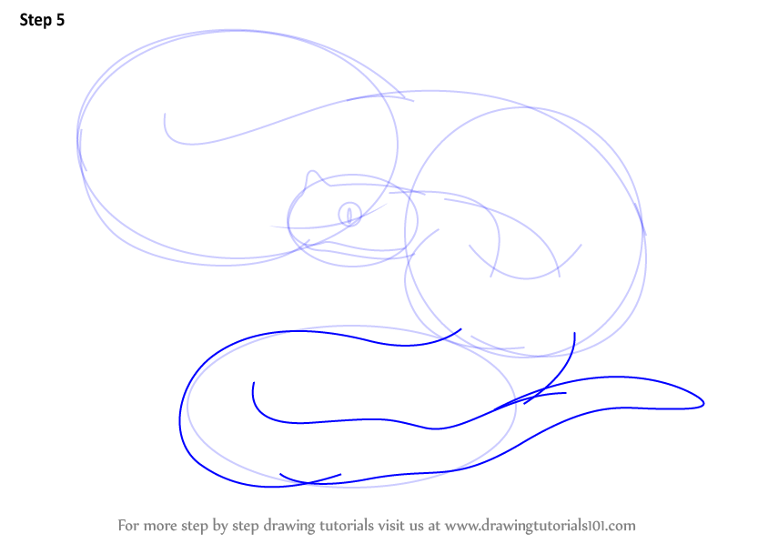 844x598 Learn How To Draw A Rattlesnake (Fishes) Step By Step Drawing
