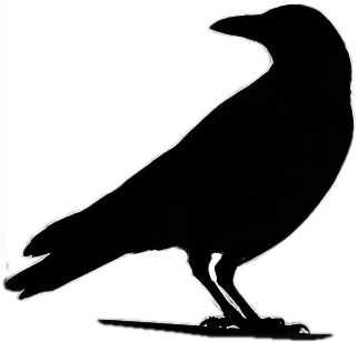 322x308 Raven Clipart Bird Shadow