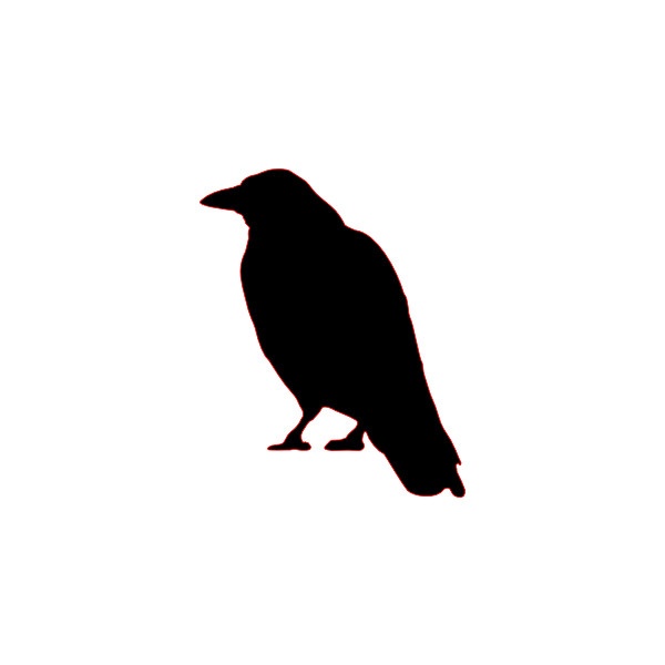 600x600 Sea Bird Clipart Raven