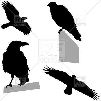 400x400 Silhouettes Of Flying And Sitting Crow (Raven) Royalty Free Vector