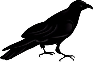 300x203 Top 71 Raven Clip Art