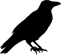 235x212 Raven Pictures Bird Silhouette Crow Silhouette Clip Art