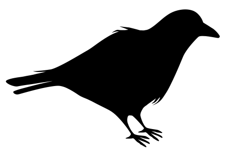477x317 Raven Clip Art Download