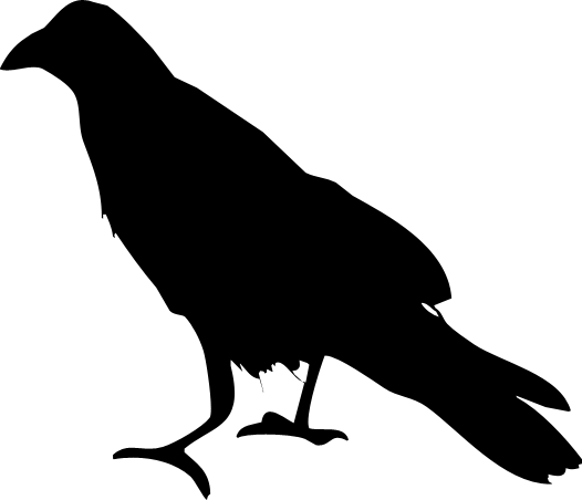 526x452 Raven Clip Art Free Clipart Images