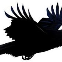 200x200 Raven Clipart Free