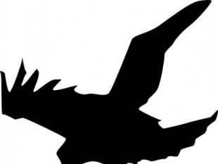 310x233 Raven Free Vector Free Vectors Ui Download