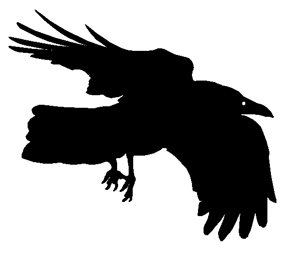 573x550 Raven Clip Art