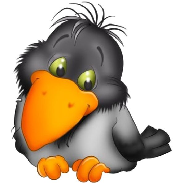 600x600 Blackbird Clipart Black Crow