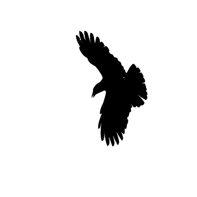 640x640 Top 79 Raven Clip Art