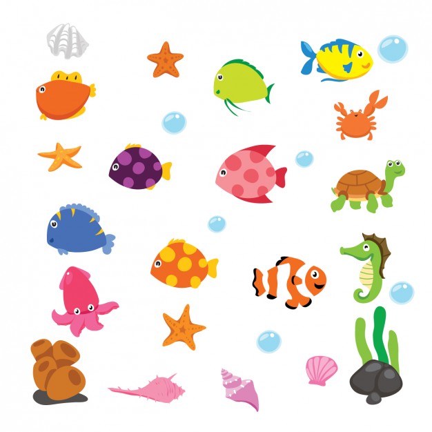 626x626 Fish Vectors, Photos And Psd Files Free Download