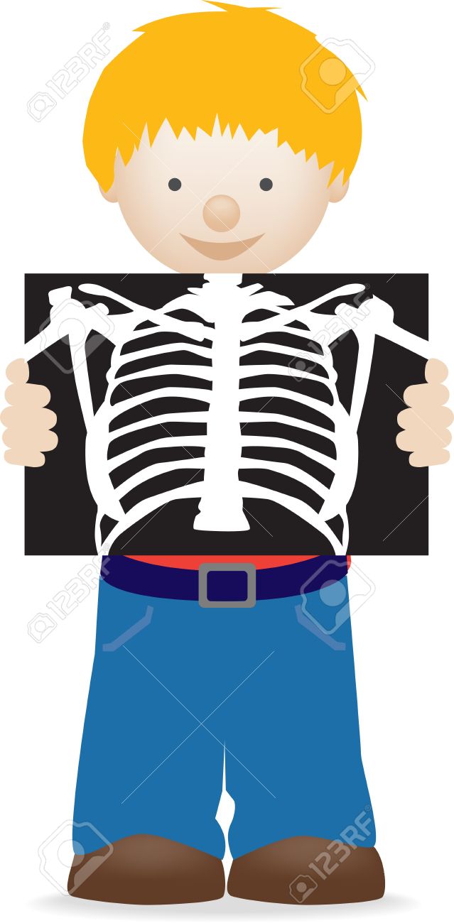 639x1300 X Ray Clipart Vector