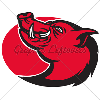 325x325 Boar Razorback Cartoon Face Gl Stock Images