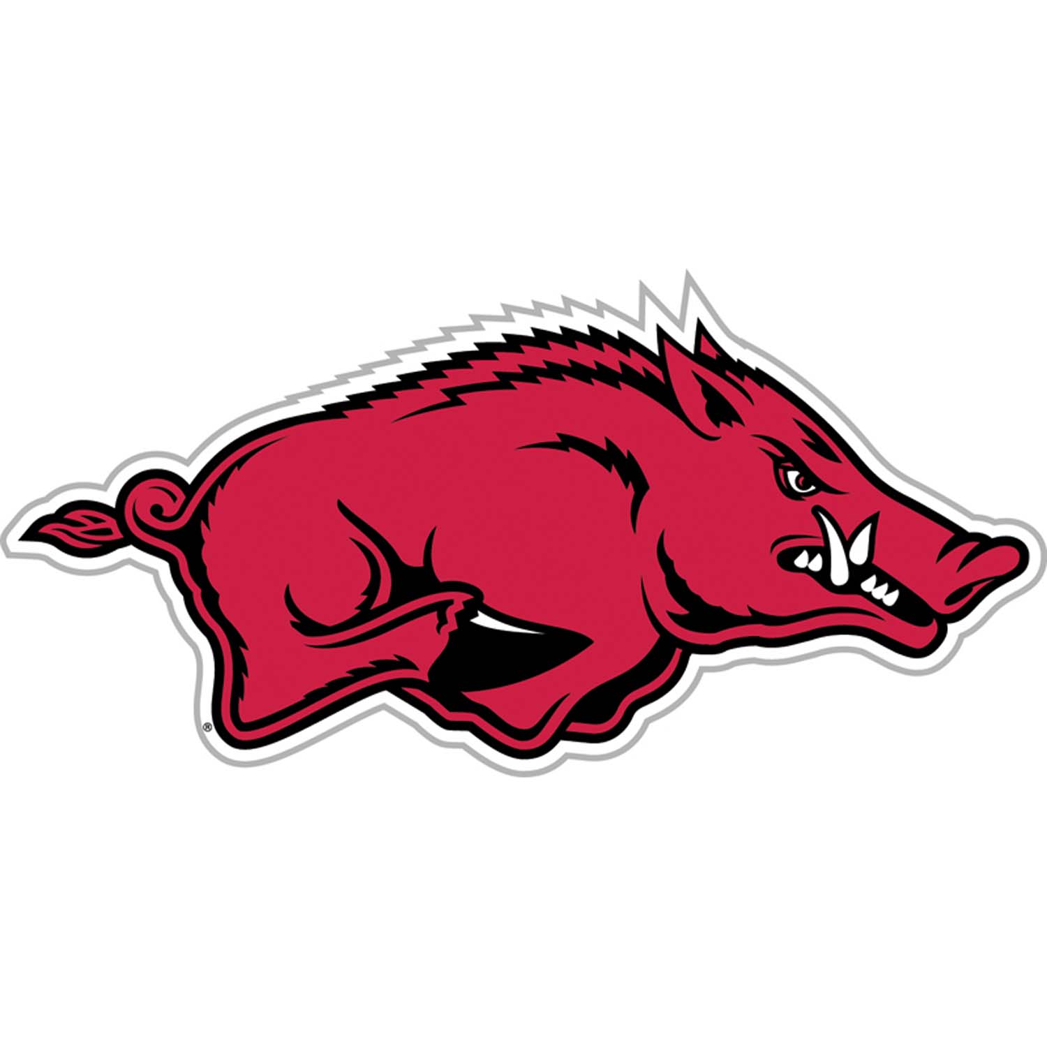 1500x1500 Razorback Clipart