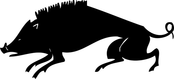600x274 Vector Razorback Hog Free Vector Download (16 Free Vector)
