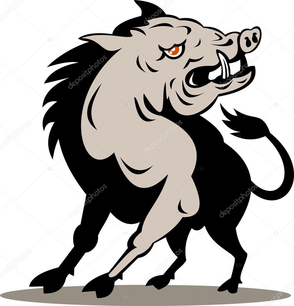 982x1023 Wild Pig Boar Razorback Stock Vector Patrimonio