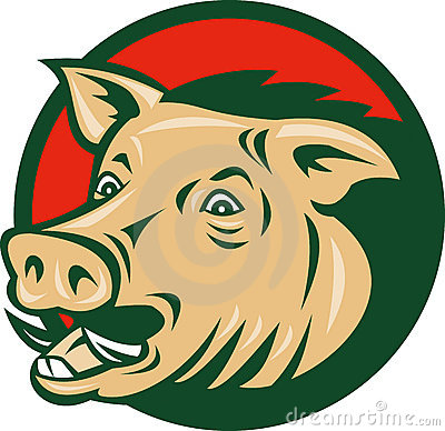 400x388 Razorback Pig Clipart