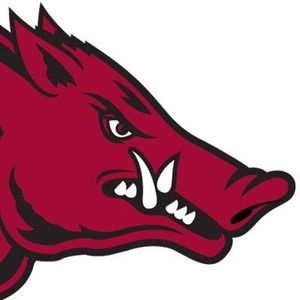 300x300 550 Best Arkansas Razorbacks Images Animation