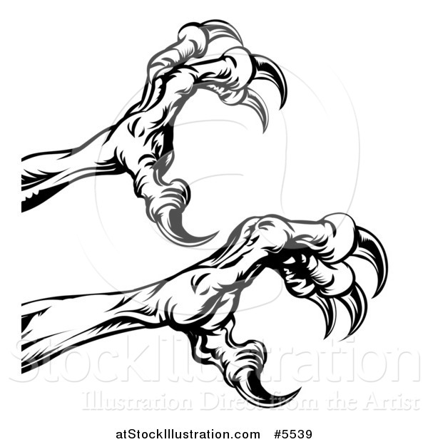 600x620 Vector Illustration Of Black And White Reaching Eagle Talons By